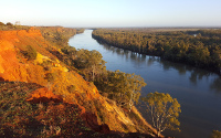 Murray River Walk